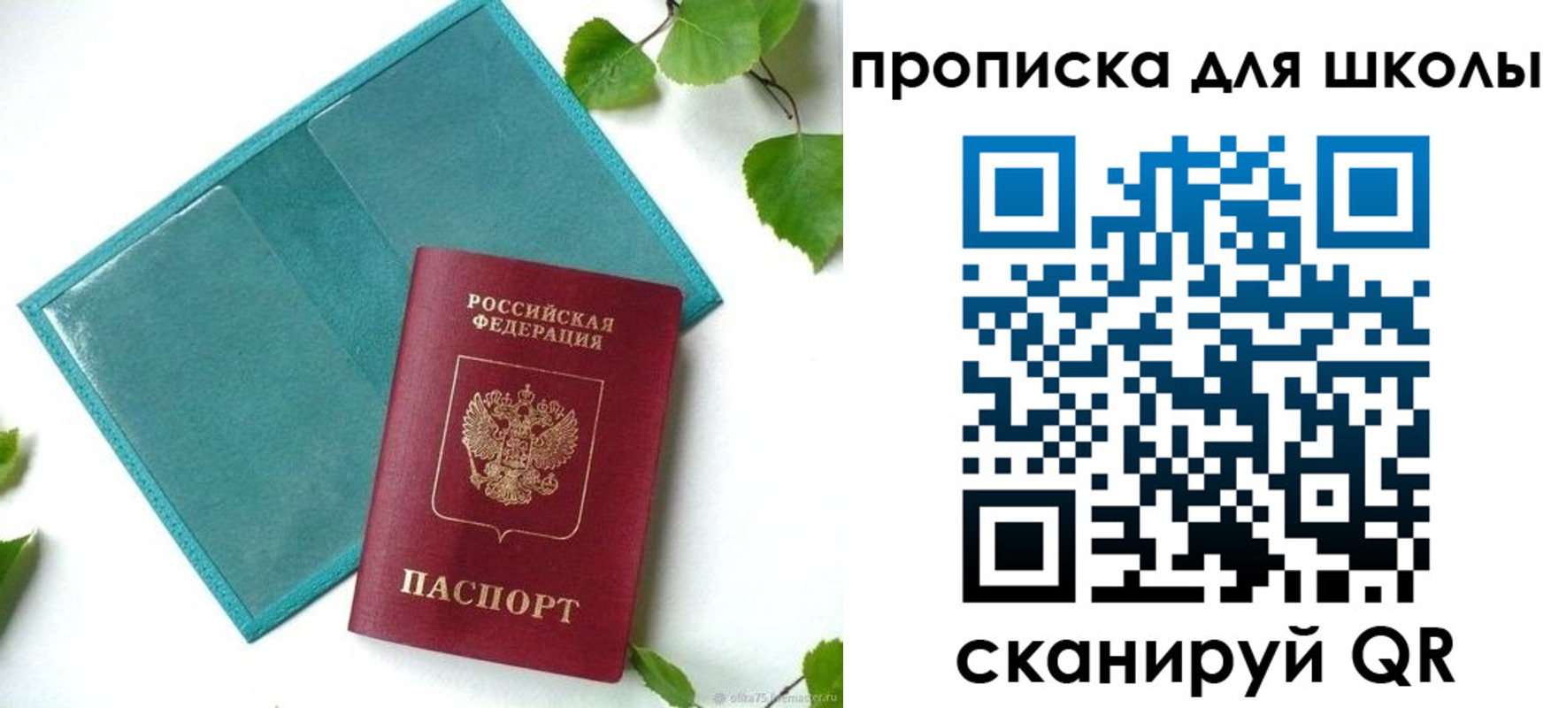 прописка в Лесном